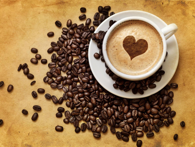 Imprescindibles para los amantes del Café